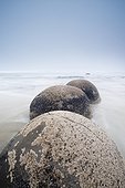 boulders in a row in the shallow water leading out to the ocean from the beach; moeraki south island new zealand