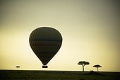 silhouette of a hot air balloon just off the ground at dusk; masai mara kenya