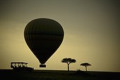 silhouette of a cart hot air balloon and trees at sunset; masai mara kenya