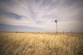 tall grass in a field with a wind turbine along the fence; texas united states of america