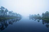 trees reflected in the water along a river; pensacola florida united states of america