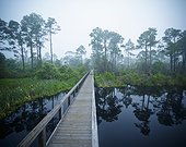 a wooden boardwalk over a river with trees reflected in the water; pensacola florida united states of america