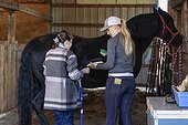 A trainer grooming a horse with a young girl with Cerebral Palsy during a Hippotherapy session; Westlock, Alberta, Canada