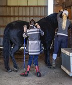 A trainer grooming a horse with a young girl with Cerebral Palsy during a Hippotherapy session; Westlock, Alberta, Canada