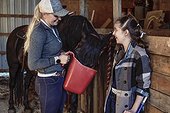 A young paraplegic girl feed a horse with her trainer during a Hippostherapy session; Westlock, Alberta, Canada