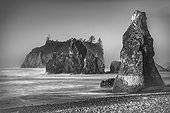 Black and white image of sea stacks and Abbey Island at Ruby Beach in the Olympic National Park, on the Washington Coast; Kalaloch, Washington, United States of America