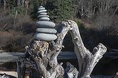 A cairn of rocks stacked on top of driftwood at Ruby Beach on the Olympic Peninsula in the Olympic National Park in Washington State; Kalaloch, Washington, United States of America