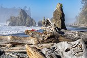 A cairn of rocks stacked on top of driftwood with sea stacks and Pacific Ocean waves in the background at Ruby Beach on the Olympic Peninsula in the Olympic National Park in Washingtron State; Kalaloch, Washington, United States of America