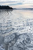 The repeating reflective patterns of a wake astern of a boat traversing Budd Inlet, Puget Sound, Washington, USA; Olympia, Washington, United States of America