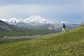 Senior man hiking on the tundra in Thorofare Pass with Mt. McKinley in the background, Interior Alaska, Summer