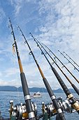 Close up of fishing rods and reels rigged for salmon fishing on a charter boat, Seward, Southcentral Alaska, Summer