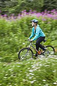 Woman riding a mountain bike on a trail through Fireweed flowers in south Anchorage, Southcentral Alaska, Summer