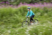 Woman riding a mountain bike on a trail through Fireweed flowers in south Anchorage, Southcentral Alaska, Summer