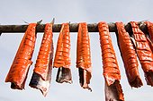 Subsistance caught Bristol Bay Sockeye salmon drying on a rack, Iliamna, Southwest Alaska, Summer