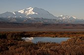 Mt. McKinley with reflection in small tundra pond, Denali National Park & Preserve, Interior Alaska, Autumn