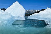 Close up of an iceberg from McBride Glacier in Muir Inlet, Glacier Bay National Park & Preserve, Southeast Alaska, Summer