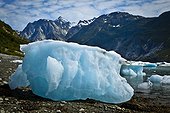 Icebergs from McBride Glacier stranded on shore at low tide, Muir Inlet, Glacier Bay National Park & Preserve, Southeast Alaska, Summer