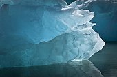 Icebergs from McBride Glacier, Muir Inlet, Glacier Bay National Park & Preserve, Southeast Alaska, Summer