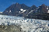Riggs Glacier, Glacier Bay National Park & Preserve, Southeast Alaska, Summer
