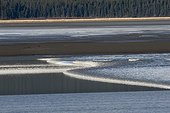 A bore tide rolls up the Turnagain Arm, Southcentral Alaska, Spring