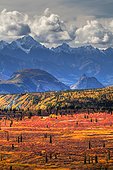 Scenic view of fall colors and the Chugach Mountains from Alascom Road near Sheep Mountain and the Glenn Highway, Southcentral Alaska, Autumn, HDR