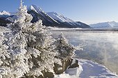 A hoarfrosted winter scene next to the Seward Highway at Mile 87.4, Turnagain Arm, Southcentral Alaska, Winter