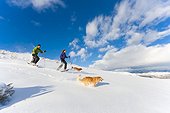 Couple snowshoeing at Park City with their Golden Retrievers, Utah, Winter