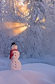 Snowman with red scarf and top hat amongst hoar frosted trees back lit by sunrays shining through fog, Russian Jack Springs Park, Anchorage, Southcentral Alaska, Winter. Digitally enhanced.