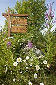 City of Seldovia City Park sign and wildflowers, Southcentral, Alaska, Summer