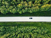 Aerial View Of Green Summer Forest With A Road.