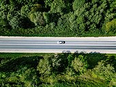 Aerial View Of Road With Car Going Through Green Forest.