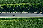 Aerial View Of A Rural Asphalt Road Through A Green Corn Field In Summer