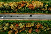 Aerial View Of Road And A Car In Autumn Forest With Red, Yellow And Orange Leaves.