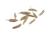 Macro Closeup Of Cumin Seeds Isolated On A White Background. Dried Cumin Seeds
