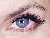 Close-up of female eye