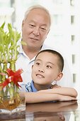 Boy with his grandfather looking at Lucky Bamboos in a container