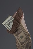 Close-up of American paper currency in a bag