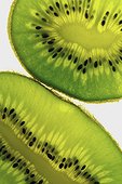 Close-up of two slices of kiwi fruit