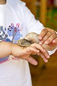Hand of a child with burgundy snail