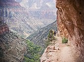North Kaibab Trail, Grand Canyon National Park, Arizona