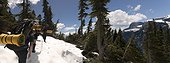 A team of hikers navigate subalpine forest and snow.