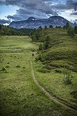 Person hiking along trail in Alps above Devero valley, Baceno, Piedmont, Italy