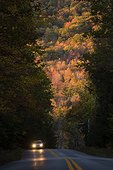 Car driving on road through forest in autumn, Cold River Road, Clarendon, Vermont, USA