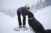 Adult woman petting dog in snowy mountains, Sandpoint, Idaho, USA