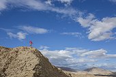 Woman standing on top of hill in badlands section of Anza Borrego State Park, California, USA