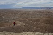 adult woman hiking along the ridge of the badlands section of Anza Borrego Desert State Park, California.