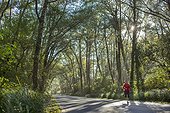 Adult woman running through a beautiful tunnel of trees inside Cape Disappointment State Park, Washington.