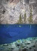 Underwater view of rock climber, Banff National Park, Alberta, Canada