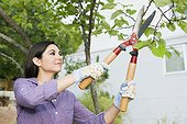 Woman trimming tree branches