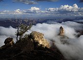 Grand Canyon shrouded in mist. USA,Arizona,Grand Canyon National Park,North Rim,Mount Hayden and canyon shrouded in mist